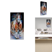 Trademark Fine Art Brave The Indian War Horse by Marcia Baldwin 16x32 picture