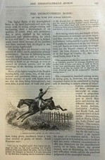 1877 Thoroughbred Horses  illustrated picture