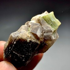 129 CT Terminated Natural Tourmaline Crystal with Quartz From Afghanistan picture