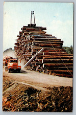 1962 Logging In Washington And Oregon Logging Truck Arriving Vintage Postcard picture