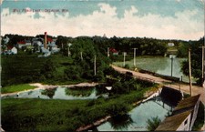 1903 Mill Pond Lake Delavan, WI Wisconsin Undivided Back Postcard W.W. Bradley picture