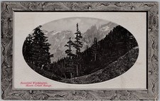 Monte Cristo Range Washington Postcard Blaine WA Postmark PNC Glosso H84 picture