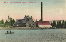 McCloud River Lumber Mill California Vintage Postcard Rieder c1910 Hand Colored picture
