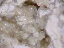 MANSFIELDITE - Type Locality - Hobart Butte, Lane County, OREGON picture