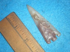 2  3/4   in.   INDIAN ARROWHEAD  HERNANDO   FROM  PASCO CO. FLORIDA  CORAL picture