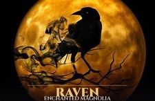 🪶 Let the Old Feather Fall, Keep What Still Serves ~ Raven Working picture