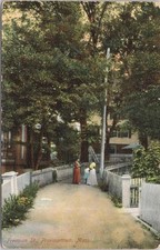 Freeman St Provincetown MA Cape Cod Postcard Made in Germany Early 1900s picture
