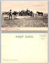 Chinook Montana Cowboys Round Up Breaking Camp Horses Chas E Morris Postcard picture