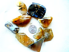 Yellowstone Montana Moss Agate Dendrites 228 grams 8 oz Polished and Beautiful picture