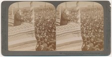 WISCONSIN STEREOVIEW - Superior - William McKinley Speaks - Underwood picture