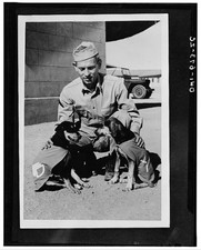Photo:India 1942 Norman Diamond Signal Service dog mascots promotions picture