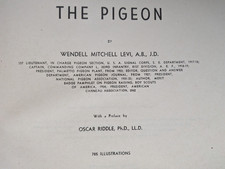 Autographed WWII US Navy Army signal corps The Pigeon Wendell Mitchell Levi picture