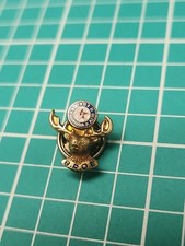 Vtg BPOE Benevolent Protective Order Elk Screw Back Gold Tone Lapel Pin picture