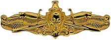 US Navy Surface Warfare Officer Skull Badge USN SWO Insignia Naval GOLD Pin picture