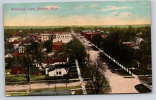 Sturgis Michigan~Birdseye Homes~Backyards~Businesses on Street~1913 PC           picture