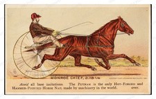 Buffalo New York 1881 Putnam Nail Horse Sulky Standard Postcard picture