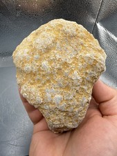 Fossilized Indiana Geode Crinoid Calyx Blue Quartz Chalcedony 2,900 Carats picture