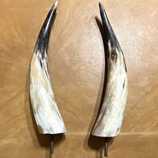 Western Americana Pair Cow Horn Decor on Metal Posts Black/White Mottled 15 in picture