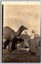 RPPC Woman & Camel Named Blacky Kodak Austral Real Photo Postcard picture