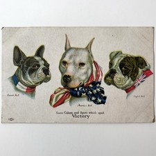 WWI Patriotic Postcard Bulldog French American English Victory Wallace Robinson picture