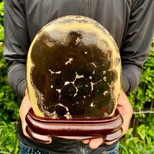 4.03LB Beautiful Natural Chinese Dendritic Limestone Picture Stone Guohua -Rare picture