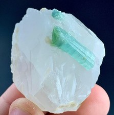 204 Carat Tourmaline Crystal  With Quartz Specimen From Afghanistan picture