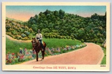 Vintage Postcard Horse Greetings From De Witt Iowa picture
