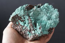 Large Cabinet Kobyashevite with Selenite Ojuela Mine, Durango, Mexico Minerals picture