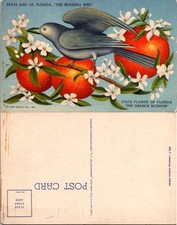 Vintage Florida Postcard State Bird The Mocking Bird Orange Blossom 1920s picture