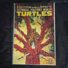 Teenage Mutant Ninja Turtles: Juliet's Revenge Mirage English McCollum Anderson picture