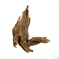 Collective Wild Malaysia Aquilaria Wormhole Agarwood 西马野生结香虫漏沉香造型摆件 picture