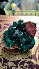 86g Dioptase from DR Congo picture