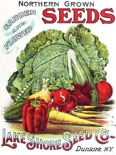 Lakeshore Seeds of Dunkirk, New York NEW Sign: 24x30
