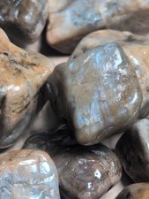 Half Pound Tumbled Wisconsin Moonstone With Mineral Oil Coating picture