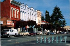 Historic Lakeport The Center of Clear Lake's West Shore Vintage Postcard TP14-17 picture