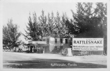 Rattlesnake Florida Roadside Snake Reptilorium 1940  RPPC Photo Postcard COPY picture