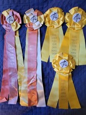 Junior P.O.A. Club Open Horse Show Ribbons Equestrian Events Vintage Awards picture
