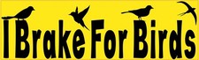 StickerTalk I Brake For Birds Vinyl Sticker 10x3 Yellow Bird Decal picture