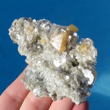 Stunning Scheelite Octahedral On Muscovite Silvered China picture