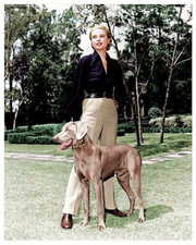 ACTRESS GRACE KELLY WITH ONE OF HER DOGS COLOR 8