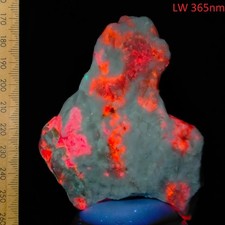 Fluorescent Hackmanite daylight tenebrescent glowing mineral Afghanistan 838ct picture