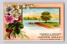 Victorian Trade Card Ozone Soap Spring #105 1882 Lilly of Valley Lake Scene picture