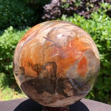 5.5 LB Large Natural Petrified Wood Agate Sphere Crystal Healing Specimen 5654 picture