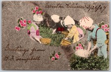 1907 Children Tea Harvesting Canton China Guangzhou Colorful ANTIQUE Postcard picture