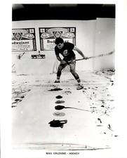 LD312 1982 Original Anheuser-Busch Photo MIKE ERUZIONE HOCKEY SLAPSHOT PAINTING picture