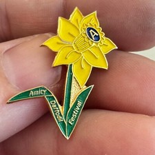 Vintage Amity Daffodil Festival Lapel Pin Oregon picture