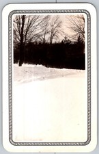Vtg B&W Snapshot Winter Snow Landscape Forest Trees Border 1930s picture