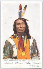 Chief Bear Goes in the Wood Native American Portrait Postcard 1904 St. Louis picture
