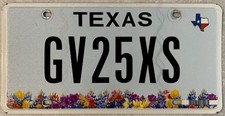 2020 ‘s TEXAS Wildflowers Expired License Plate picture