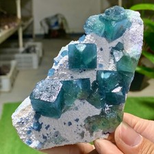 255G  Natural Crystal Rare transparent blue green cubic fluorite sample picture